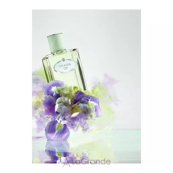 Prada Infusion d`Iris ��������������� ���� (������)