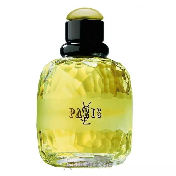 Yves Saint Laurent YSL Paris ��������������� ���� (������)