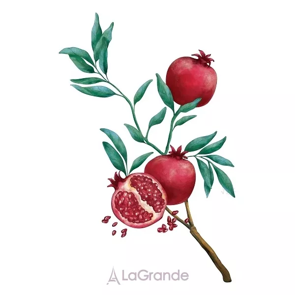 Maurer & Wirtz 4711 Acqua Colonia Pomegranate & Eucalyptus ��������