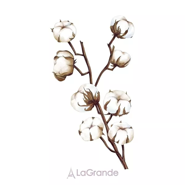 Maurer & Wirtz  4711 Acqua Colonia Cotton & Almond ��������