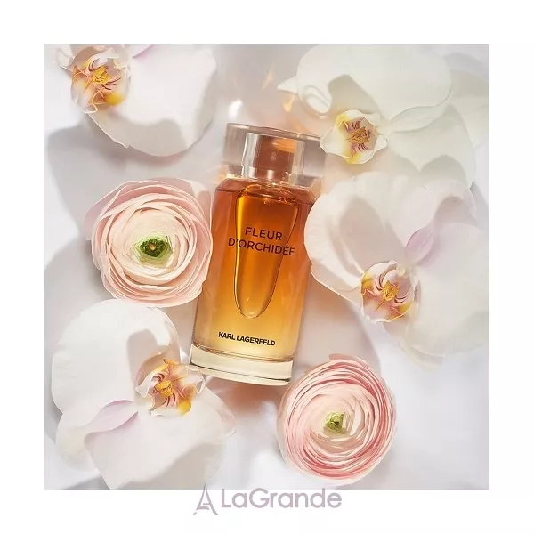 Karl Lagerfeld  Fleur D'Orchidee ��������������� ����