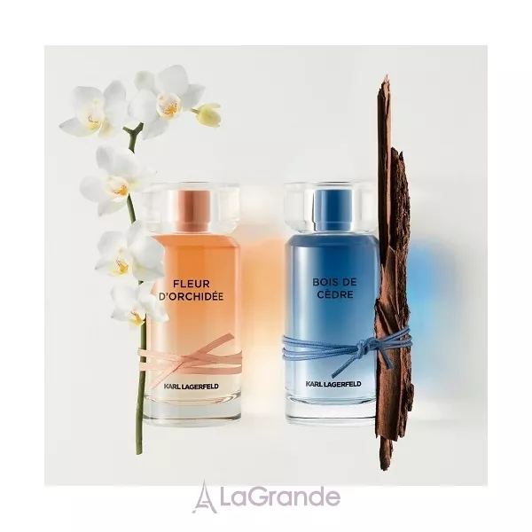 Karl Lagerfeld Bois De Cedre ��������� ����