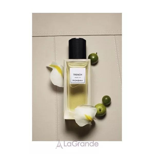 Yves Saint Laurent Trench ����������� ���� (������)