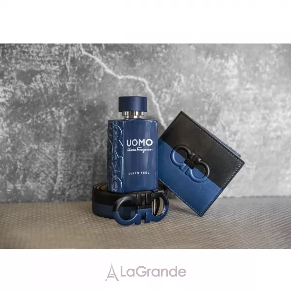 Salvatore Ferragamo Uomo Urban Feel ��������� ���� (������ ��� ��������)