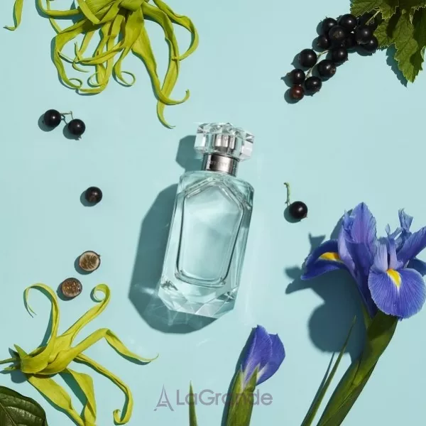 Tiffany Sheer �������� ���� (������)