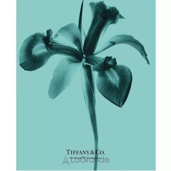 Tiffany Tiffany & Co Intense ��������������� ���� (������)