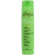 Kleral System Senjal Line Reviving Treatment Shampoo 250