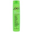 Kleral System Senjal Line Vitalizing Gel Shampoo 250