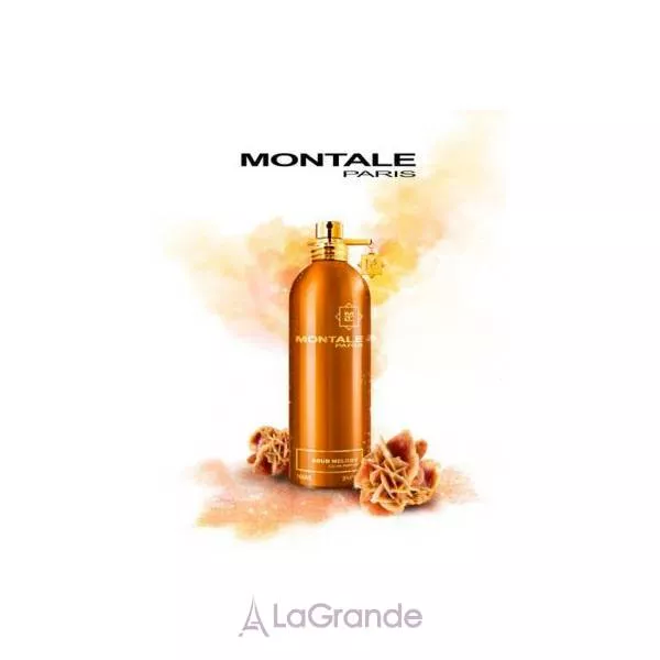 Montale Aoud Melody ��������������� ����