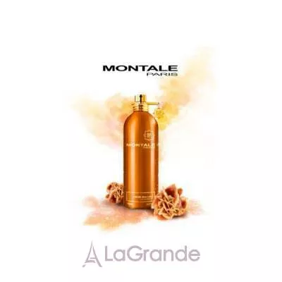 Montale Aoud Melody  