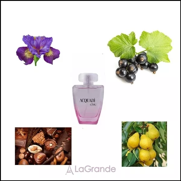 AcquaDi Chic ��������� ����
