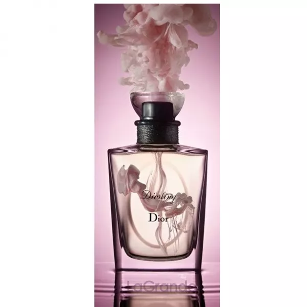 Christian Dior Diorling �������� ���� (������)
