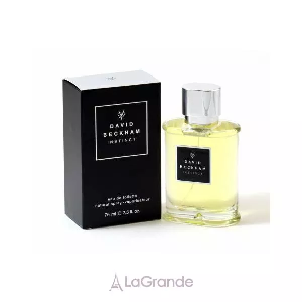 David & Victoria Beckham David Beckham Instinct ��������� ����
