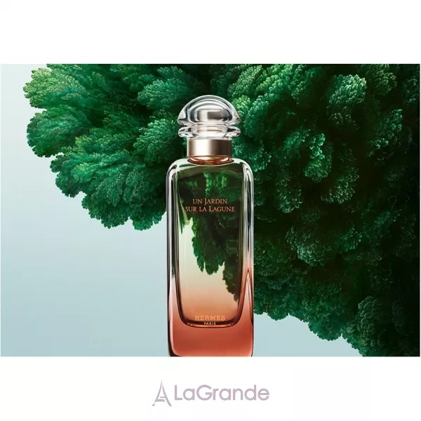 Hermes Un Jardin Sur la Lagune ����� (��������� ���� 100 �� + ��������� ���� 7.5 �� + ������ ��� ���� 80 ��)