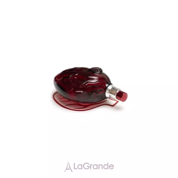 Map Of The Heart Red Heart ��������������� ���� (������)