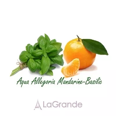 Guerlain Aqua Allegoria Mandarine Basilic  (  125  +  7.5  +      75 )