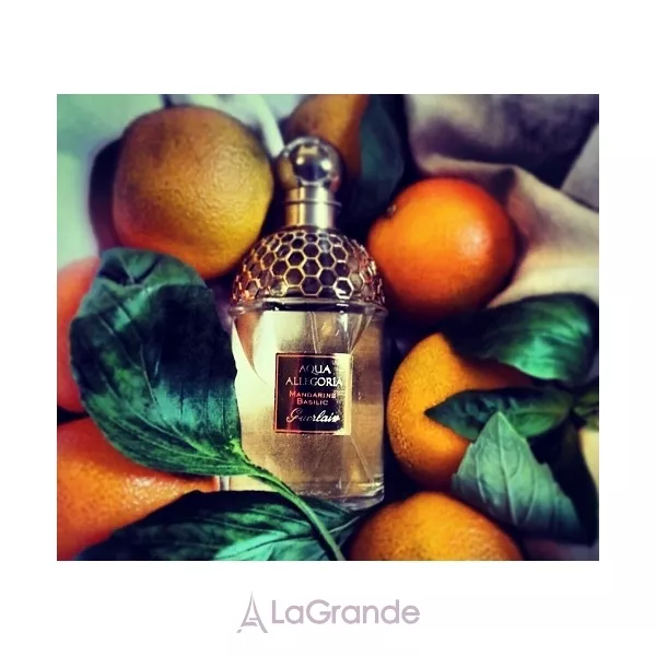 Guerlain Aqua Allegoria Mandarine Basilic ����� (��������� ���� 125 �� + ��������� 7.5 �� + ������ ��� ���� c ���������� 75 ��)