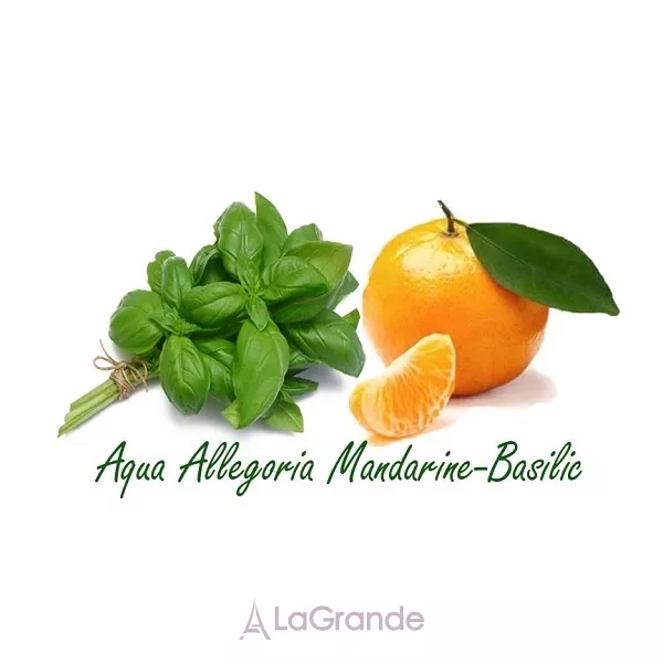 Guerlain Aqua Allegoria Mandarine Basilic ����� (��������� ���� 125 �� + ��������� 7.5 �� + ������ ��� ���� c ���������� 75 ��)