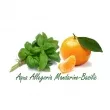 Guerlain Aqua Allegoria Mandarine Basilic  (  125  +  7.5  +    c  75 )