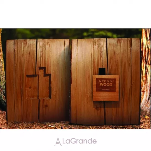 DSquared2 Intense He Wood ��������� ����