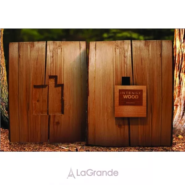 DSquared2 Intense He Wood �������� ���� (������)