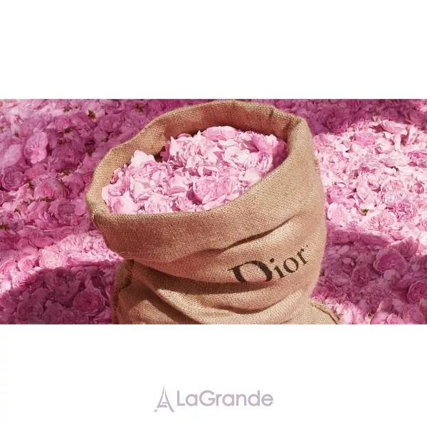 Christian Dior Miss Dior Rose N`Roses ��������� ����
