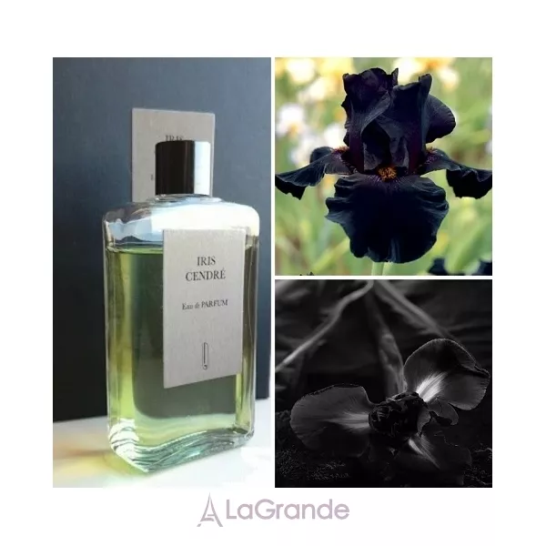 Naomi Goodsir Iris Cendre ��������������� ���� (������)