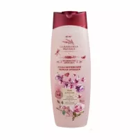 ������  La Magie De La Provence ���� ��� ���� "���� ���������� � ������ �������. ���������� ��������"