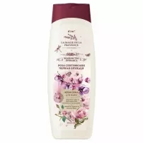 ������ La Magie De La Provence ����-���� ��� ���� "���� ���������� � ������ �������. ���������� ��������"
