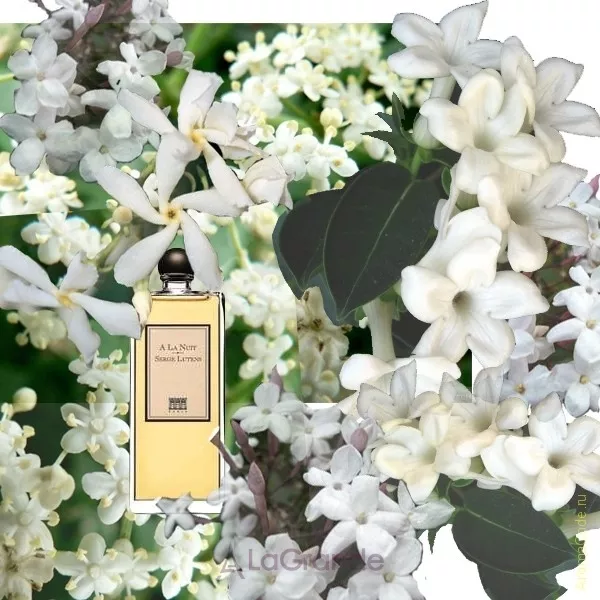 Serge Lutens A La Nuit ��������������� ���� (������)