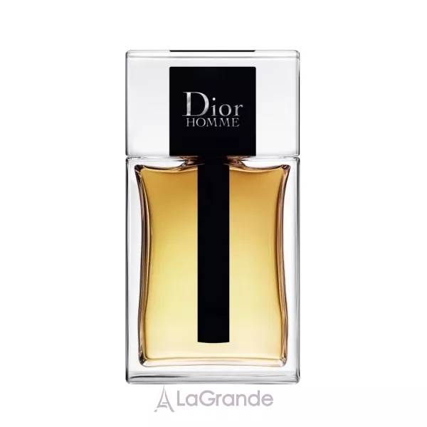 Christian Dior Dior Homme 2020 ��������� ����