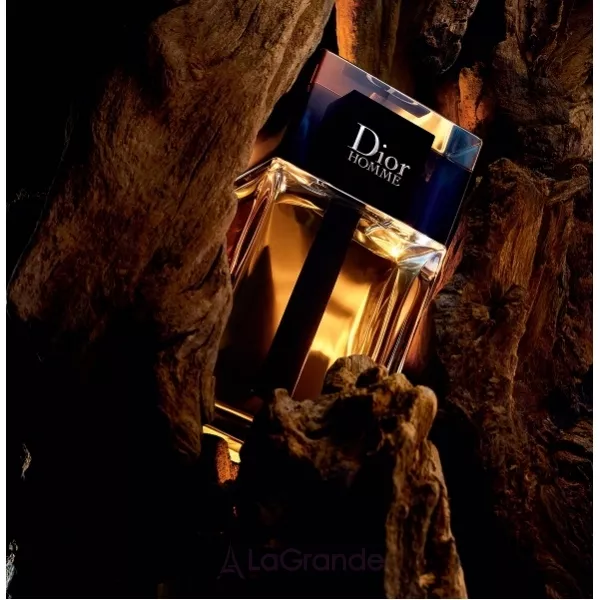 Christian Dior Dior Homme 2020 ��������� ����