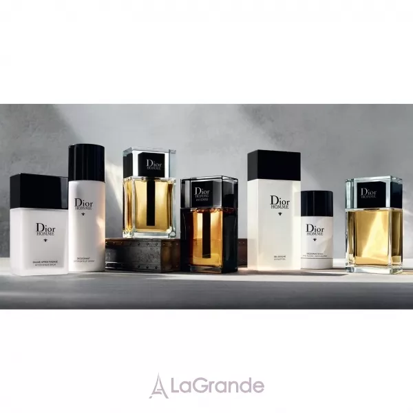 Christian Dior Dior Homme 2020 ��������� ����