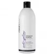 ProfiStyle Anti-Yellow Perl Shampoo 500ml