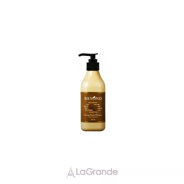 Beyond Damage Repair ³���������� ������� ��� ������������ �������