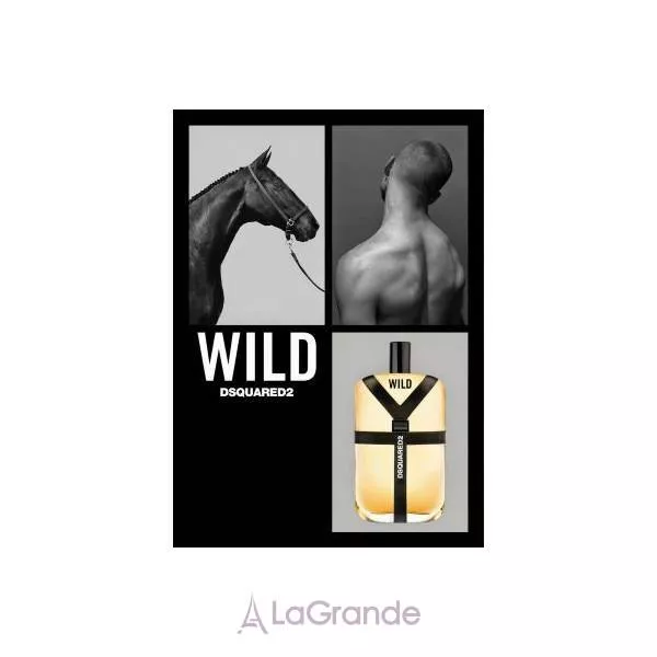 DSquared2 Wild �������� ����