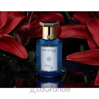 Shay & Blue London  Scarlet Lily  