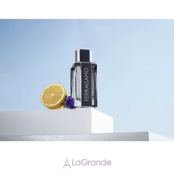Salvatore Ferragamo Ferragamo Eau de Toilette Pour Homme ��������� ����