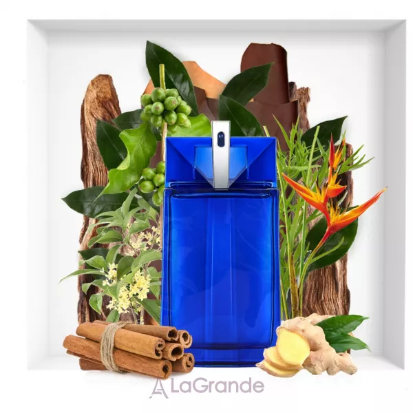 Thierry Mugler Alien Man Fusion ��������� ���� (������)