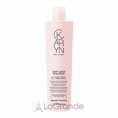 Inebrya Karyn Deep Shine Shampoo        