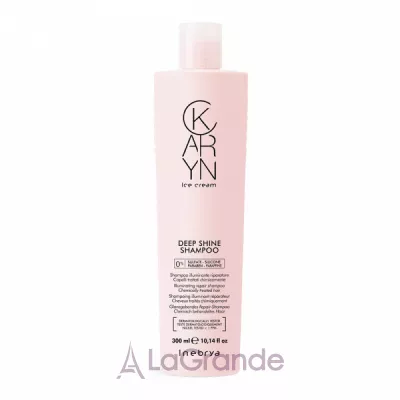 Inebrya Karyn Deep Shine Shampoo        