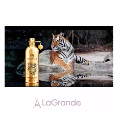 Montale Bengal Oud  