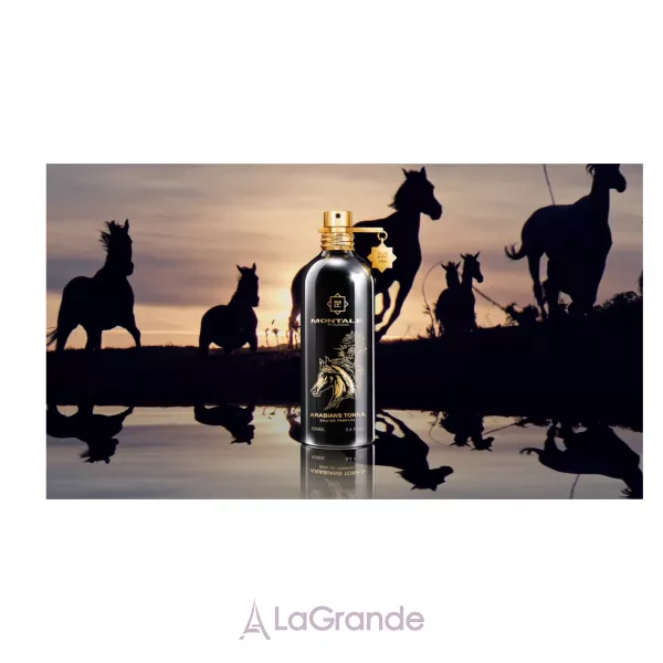 Montale Arabians Tonka ����������� ����