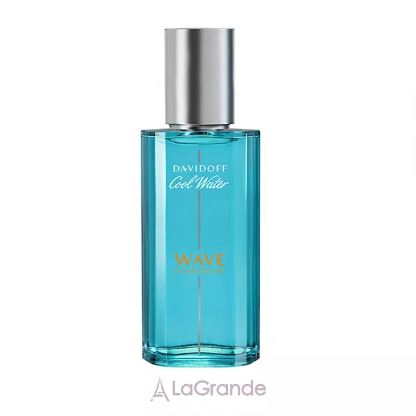 Davidoff Cool Water Wave Man ��������� ����