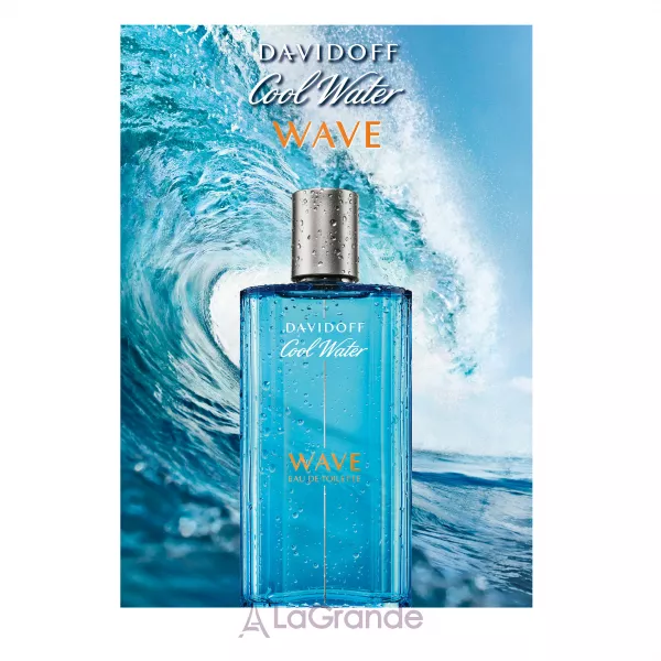 Davidoff Cool Water Wave Man ��������� ����