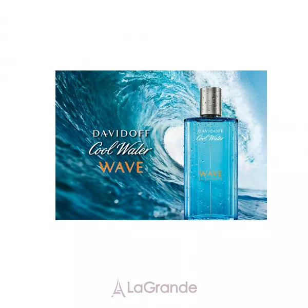Davidoff Cool Water Wave Man ��������� ���� (������)