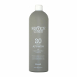 Nook The Service Color Activator 20 Vol 6% 1000ml