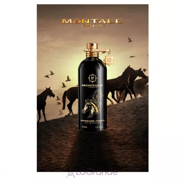 Montale Arabians Tonka ��������������� ���� (������)