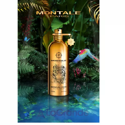 Montale Bengal Oud   ()