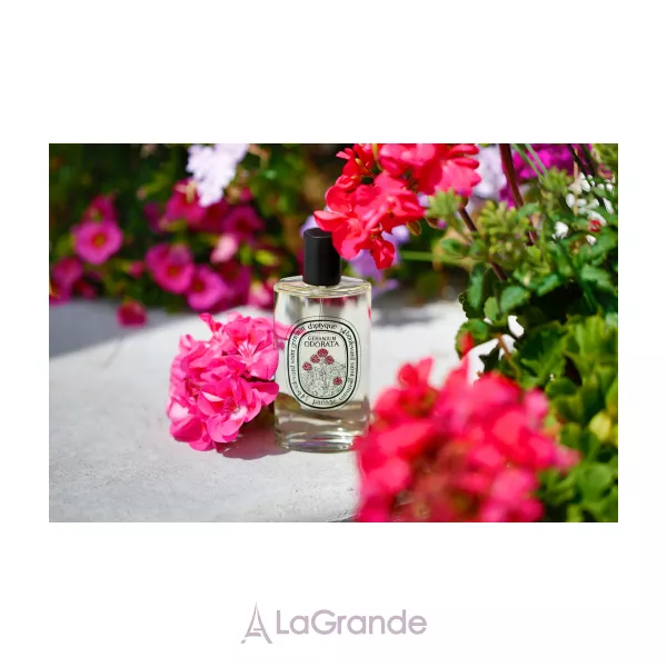 Diptyque Geranium Odorata ��������� ���� (������)